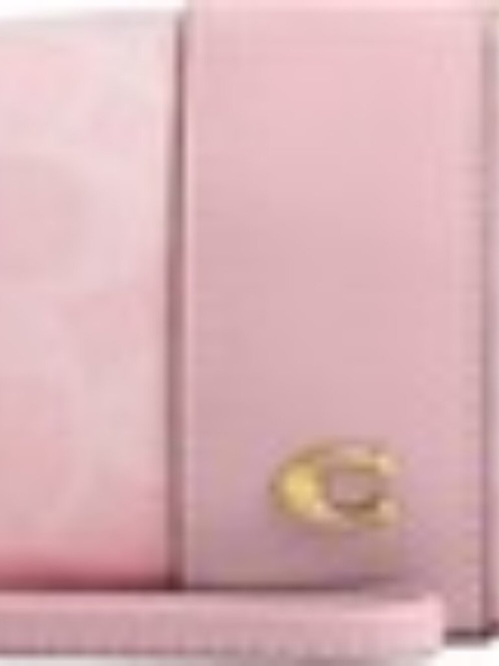 Coach Signature Essential Mini Cosmetic Pouch with Charms Pouch